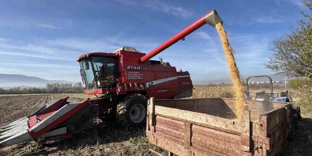 2025’in ilk hasadı başladı, kuraklık burayı da vurdu! Verimdeki düşüş, fiyatları da etkiledi 4